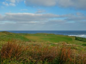 Cape Wickham 2nd Fescue